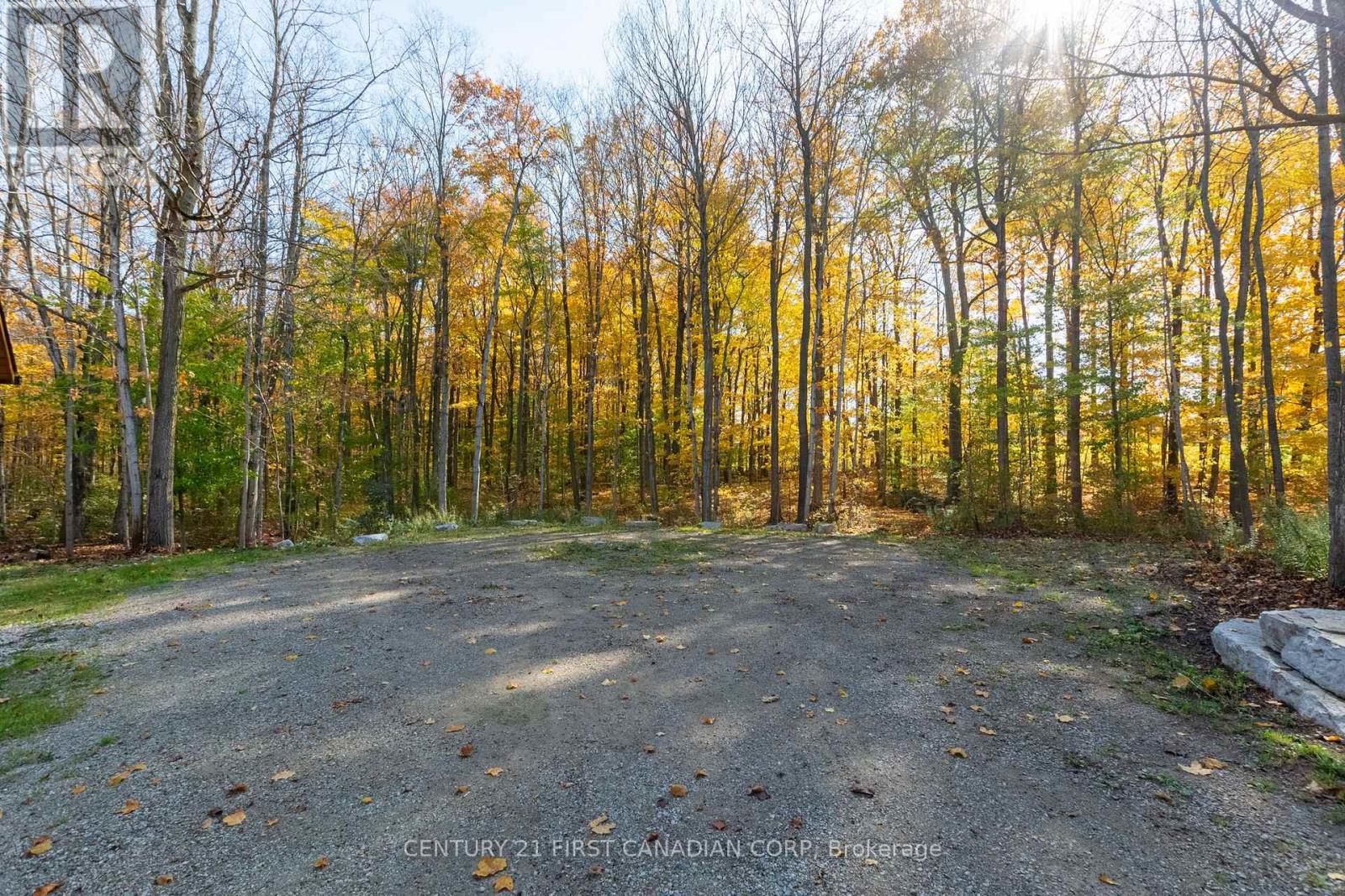 10771 Melrose Drive, Middlesex Centre, Ontario  N0L 1R0 - Photo 6 - X12553786