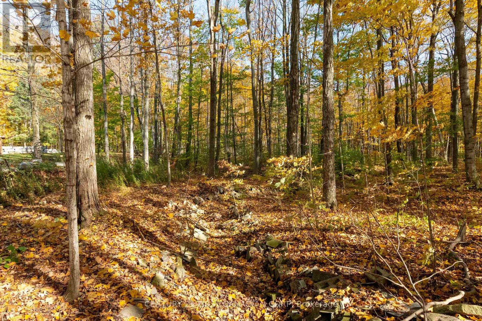 10771 Melrose Drive, Middlesex Centre, Ontario  N0L 1R0 - Photo 7 - X12553786