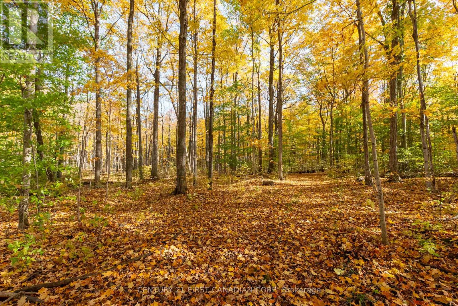 10771 Melrose Drive, Middlesex Centre, Ontario  N0L 1R0 - Photo 8 - X12553786