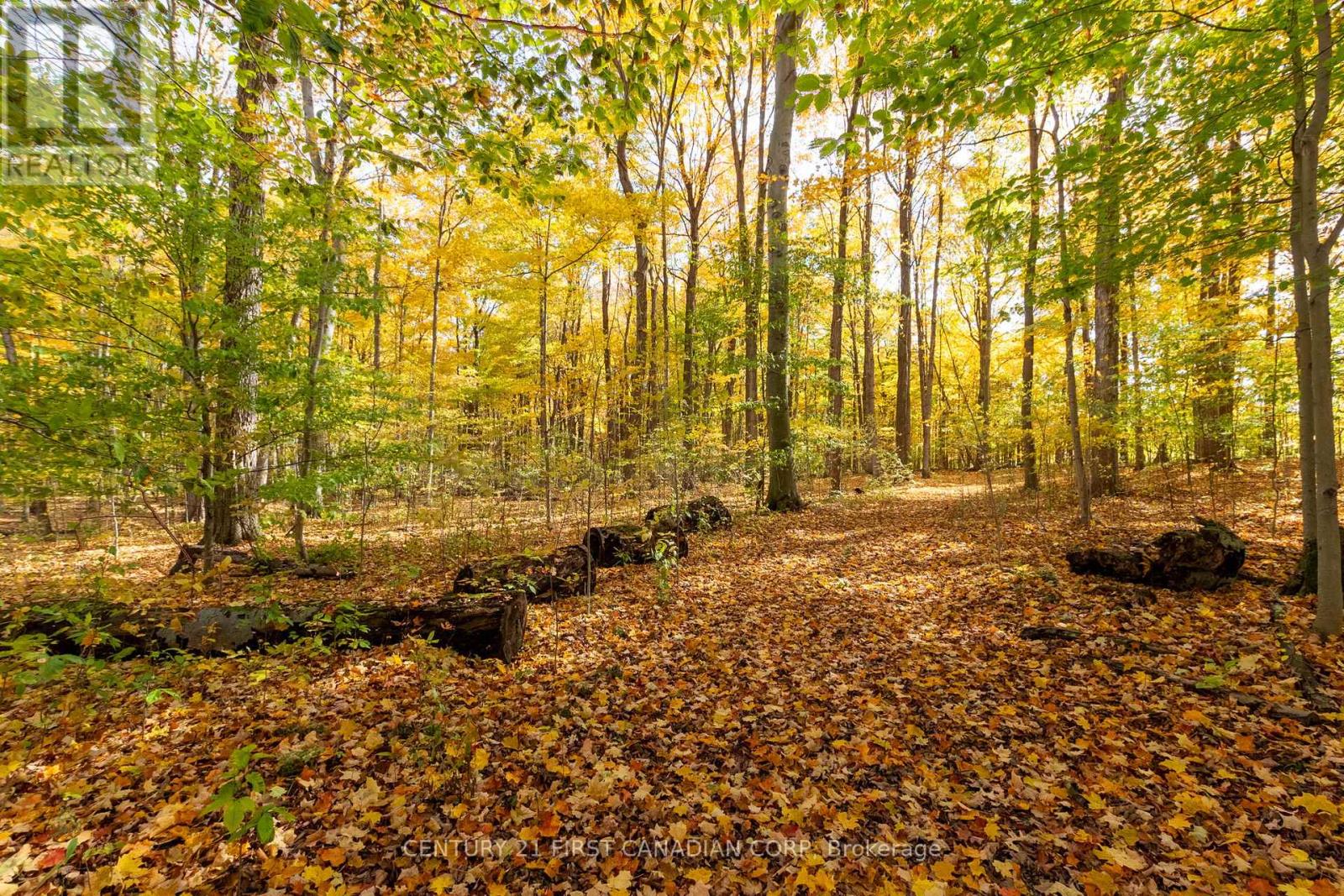 10771 Melrose Drive, Middlesex Centre, Ontario  N0L 1R0 - Photo 9 - X12553786