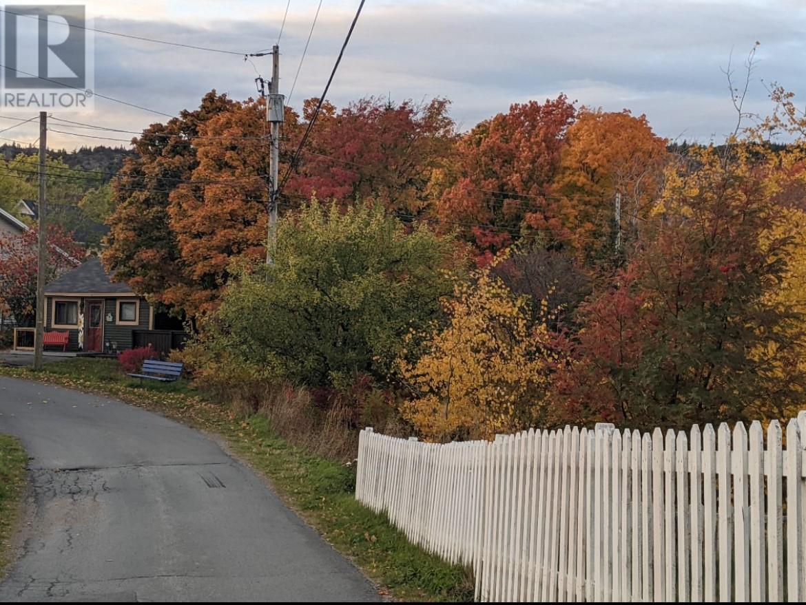 9 Chapel Lane, Brigus, Newfoundland & Labrador  A0A 1K0 - Photo 3 - 1292650
