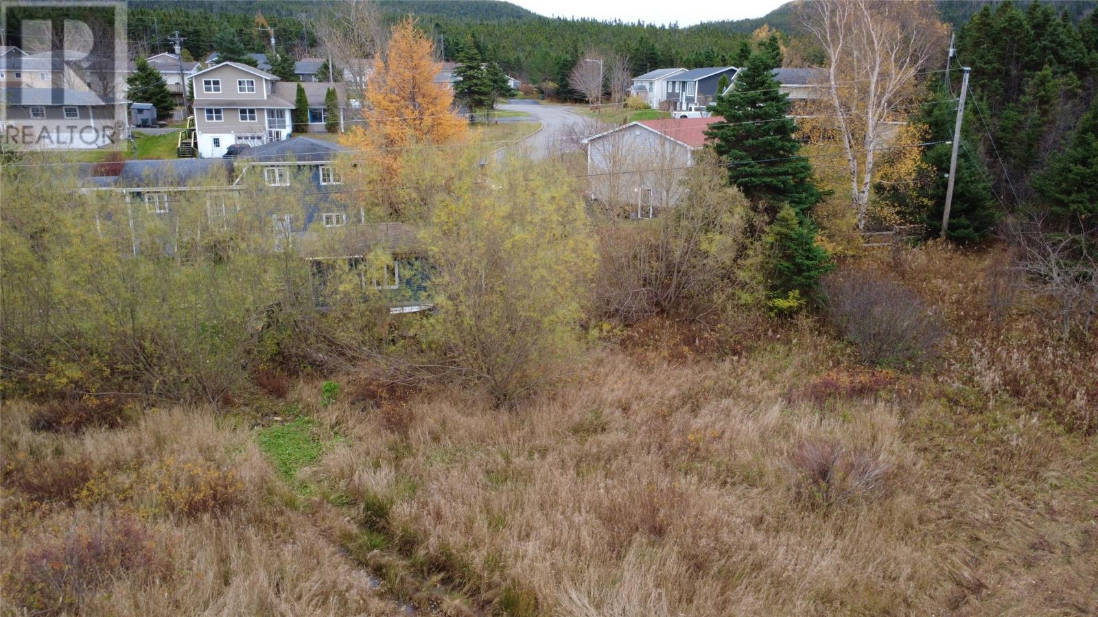 96 Marine Drive, Marystown, Newfoundland & Labrador  A0E 2M0 - Photo 10 - 1292684