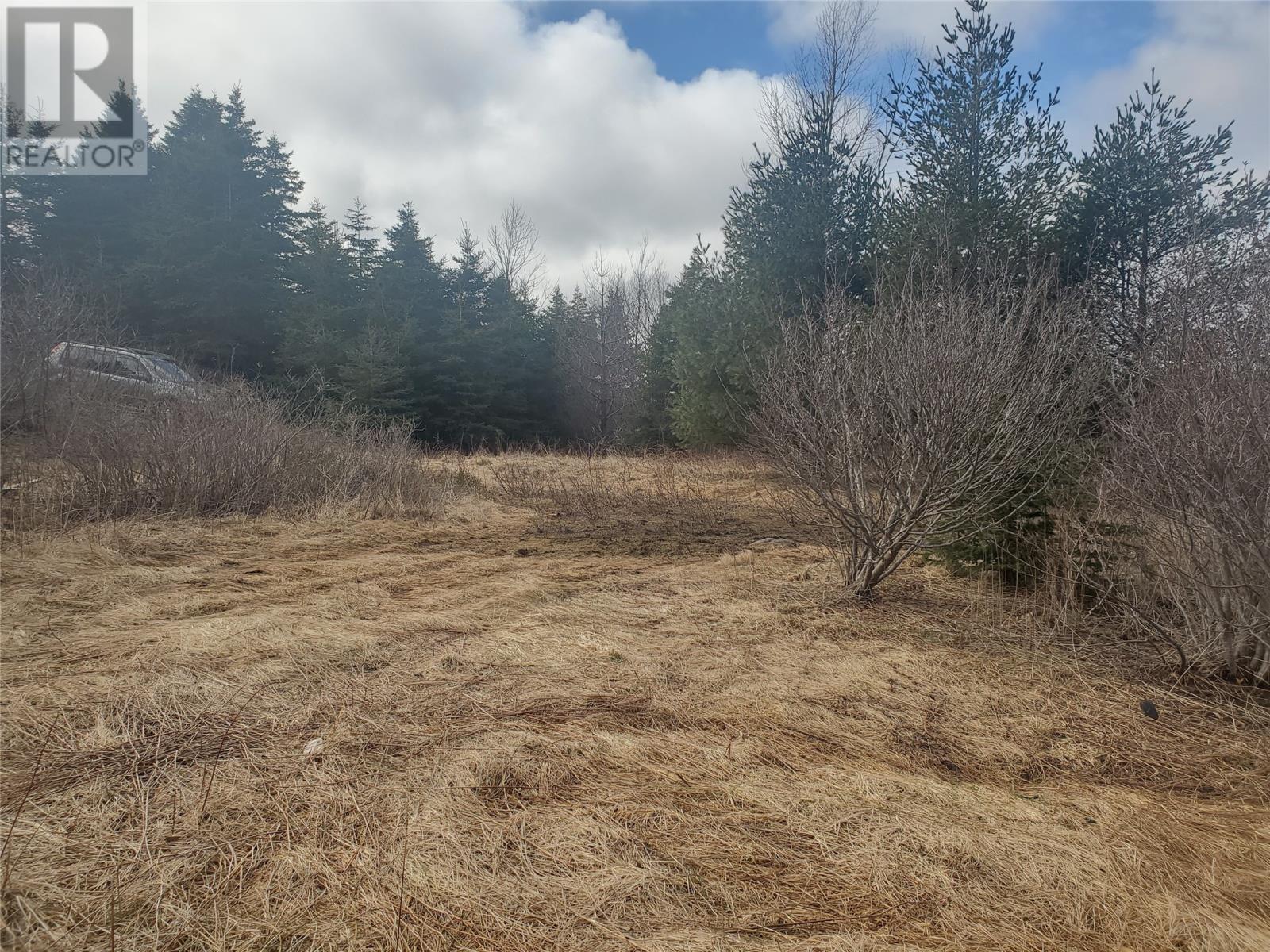 96 Marine Drive, Marystown, Newfoundland & Labrador  A0E 2M0 - Photo 4 - 1292684