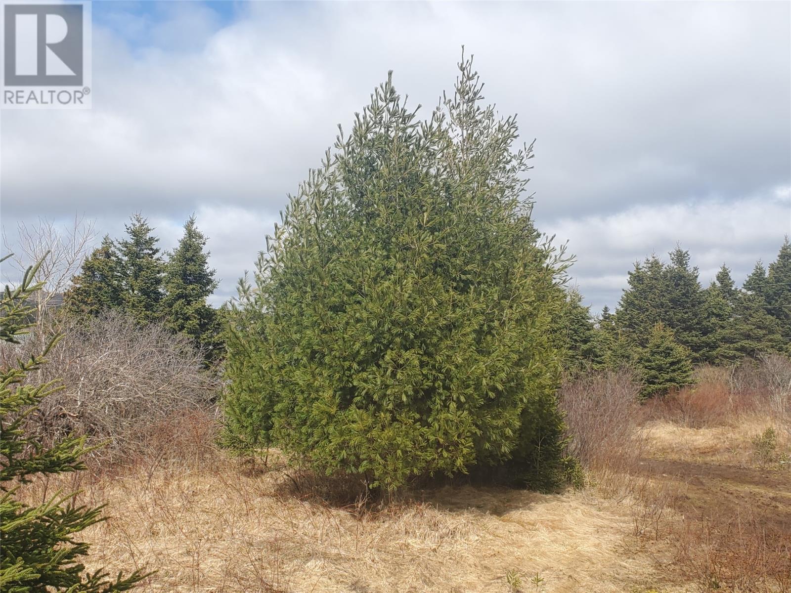 96 Marine Drive, Marystown, Newfoundland & Labrador  A0E 2M0 - Photo 5 - 1292684