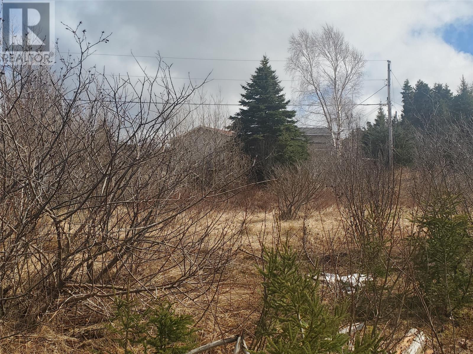 96 Marine Drive, Marystown, Newfoundland & Labrador  A0E 2M0 - Photo 8 - 1292684