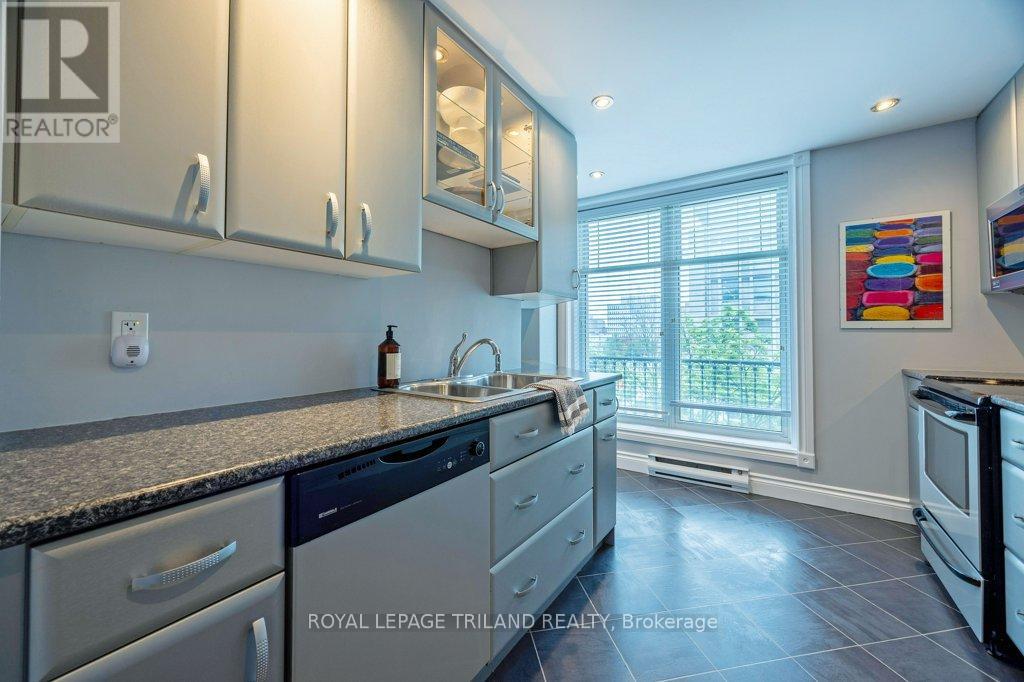 306 - 460 Wellington Street, London East, Ontario  N6A 3P8 - Photo 11 - X12553796