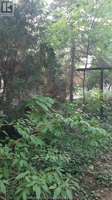 89 Gladstone Avenue, Chatham, Ontario  N7L 2C4 - Photo 36 - 25020791