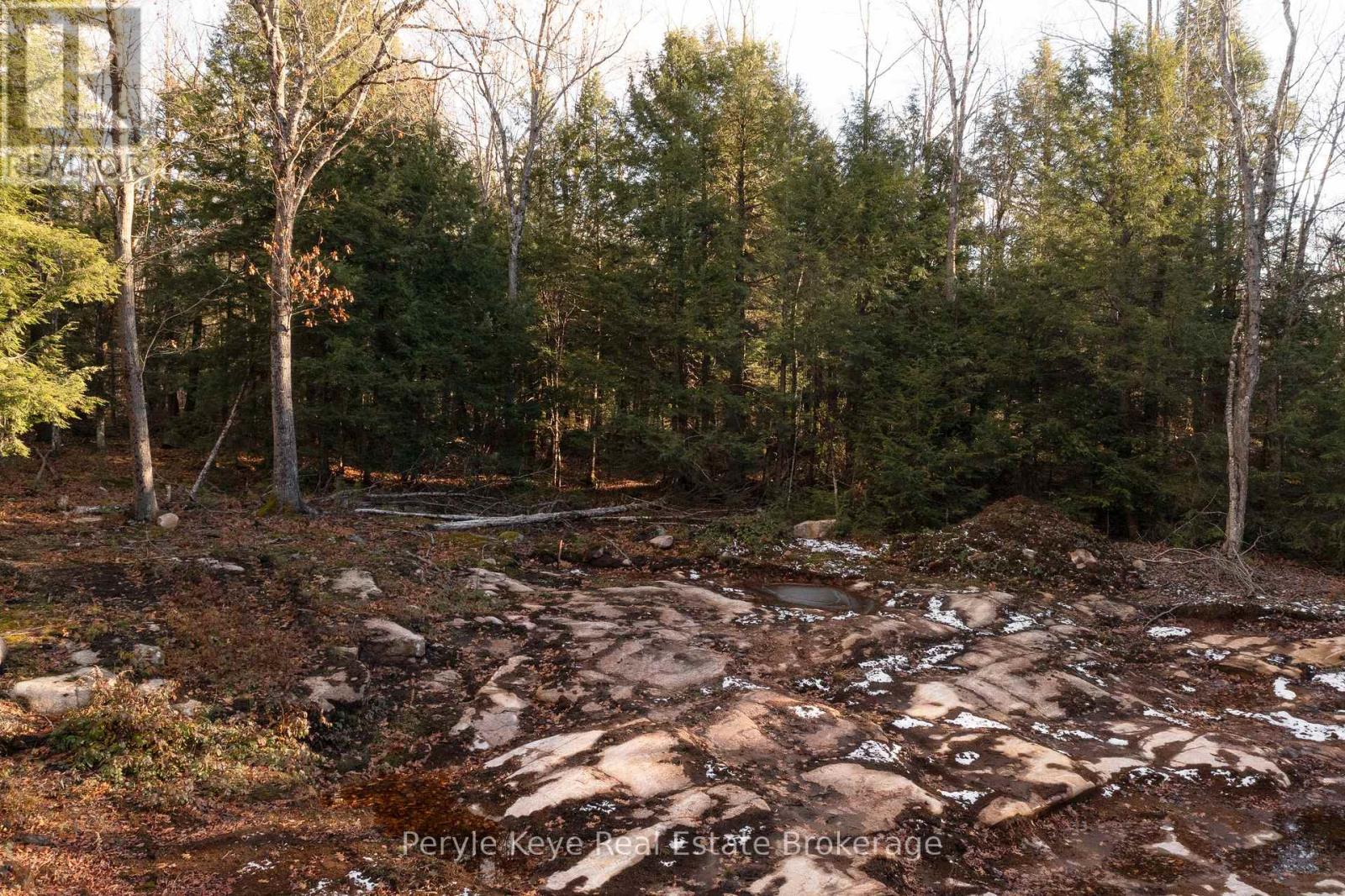 1259 Germania Road, Bracebridge, Ontario  P1P 1R3 - Photo 13 - X12553918