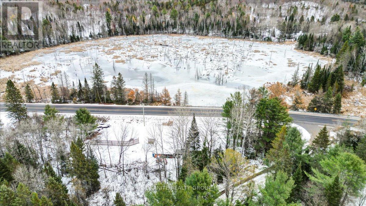 1725 Loop Road, Highlands East, Ontario  K0L 3C0 - Photo 18 - X12554046