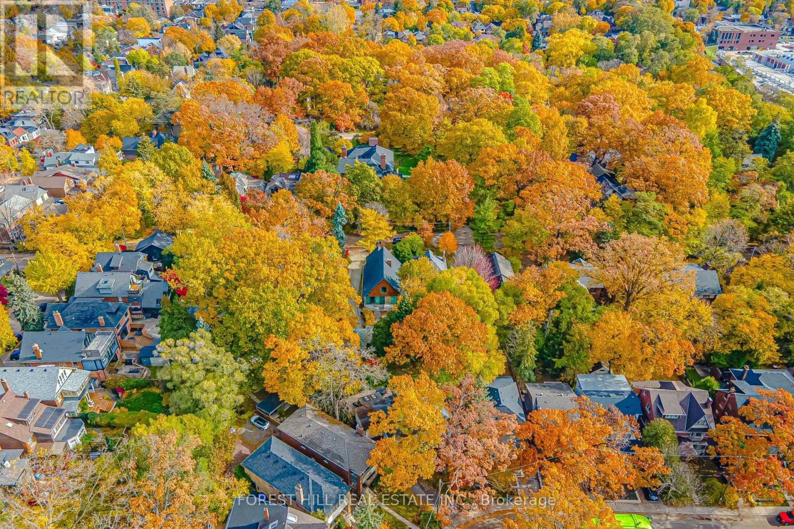 91 Braemore Gardens, Toronto, Ontario  M6G 2C7 - Photo 41 - C12524268