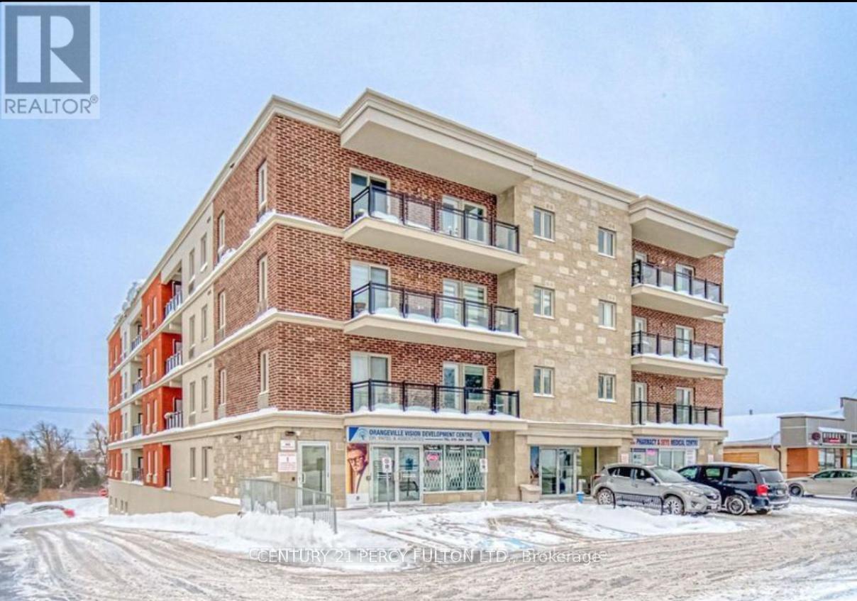 203 - 310 Broadway Avenue, Orangeville, Ontario  L9W 1L3 - Photo 7 - W12553888