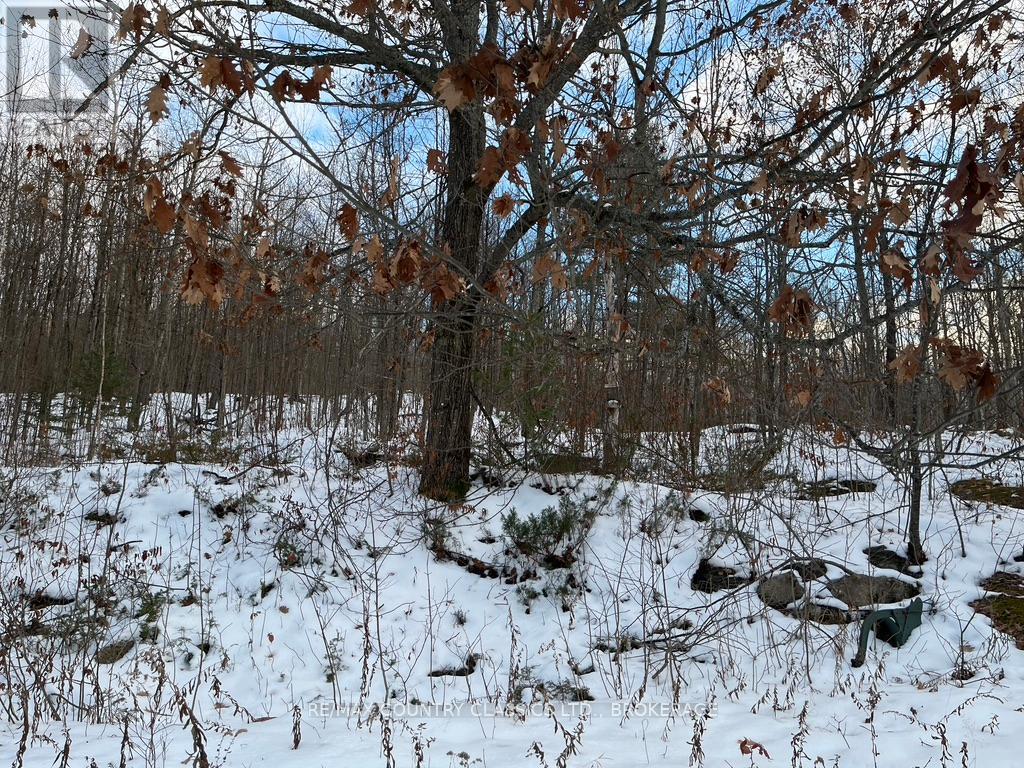 534 B Slate Falls Road, Addington Highlands, Ontario  K0H 1L0 - Photo 32 - X12554302