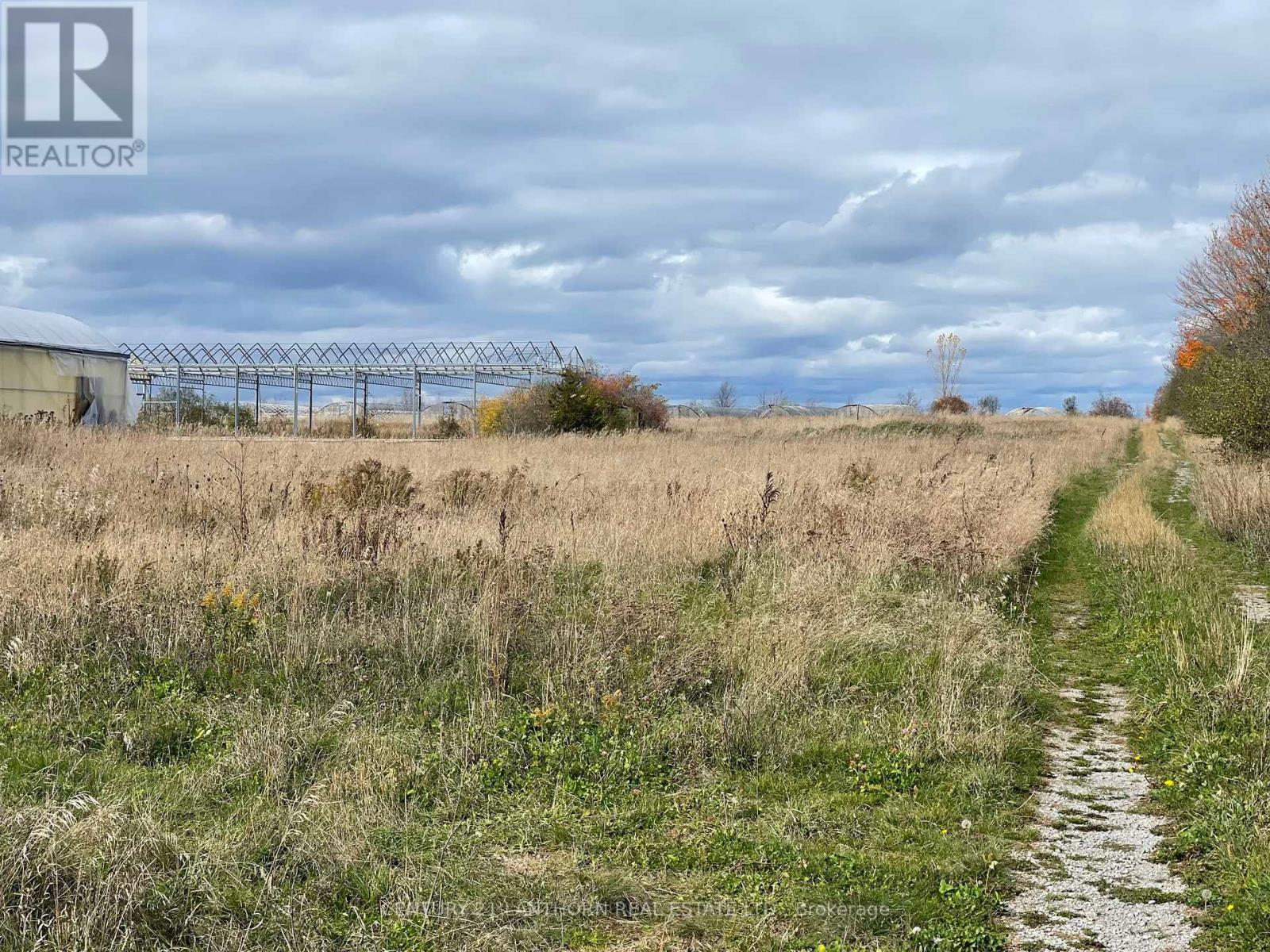 258 County Rd 20 Road, Prince Edward County, Ontario  K0K 2T0 - Photo 5 - X12554238