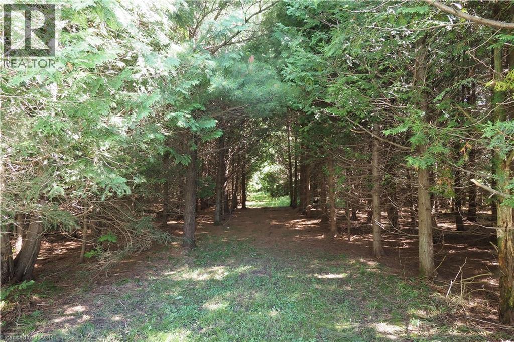 7201 Highway 6, Arthur, Ontario  N0G 1A0 - Photo 42 - 40788871