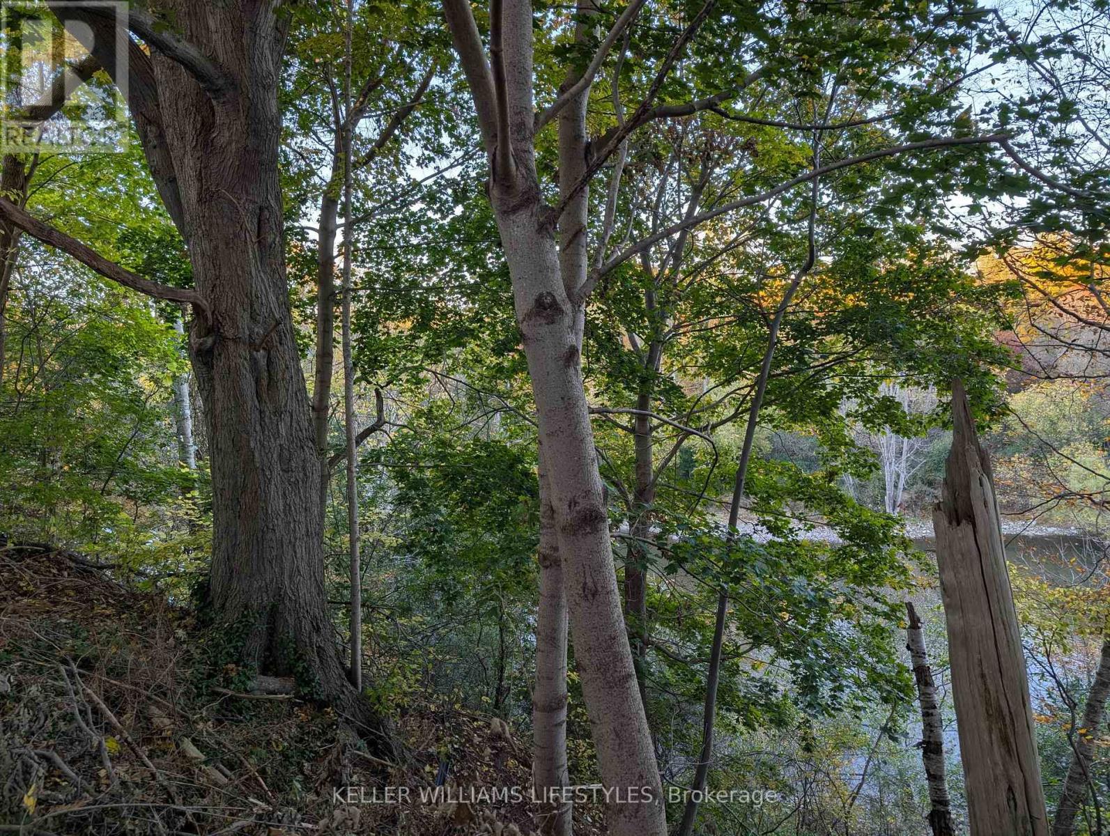 62 - 1385 Commissioners Road W, London South, Ontario  N6K 1E2 - Photo 37 - X12554480