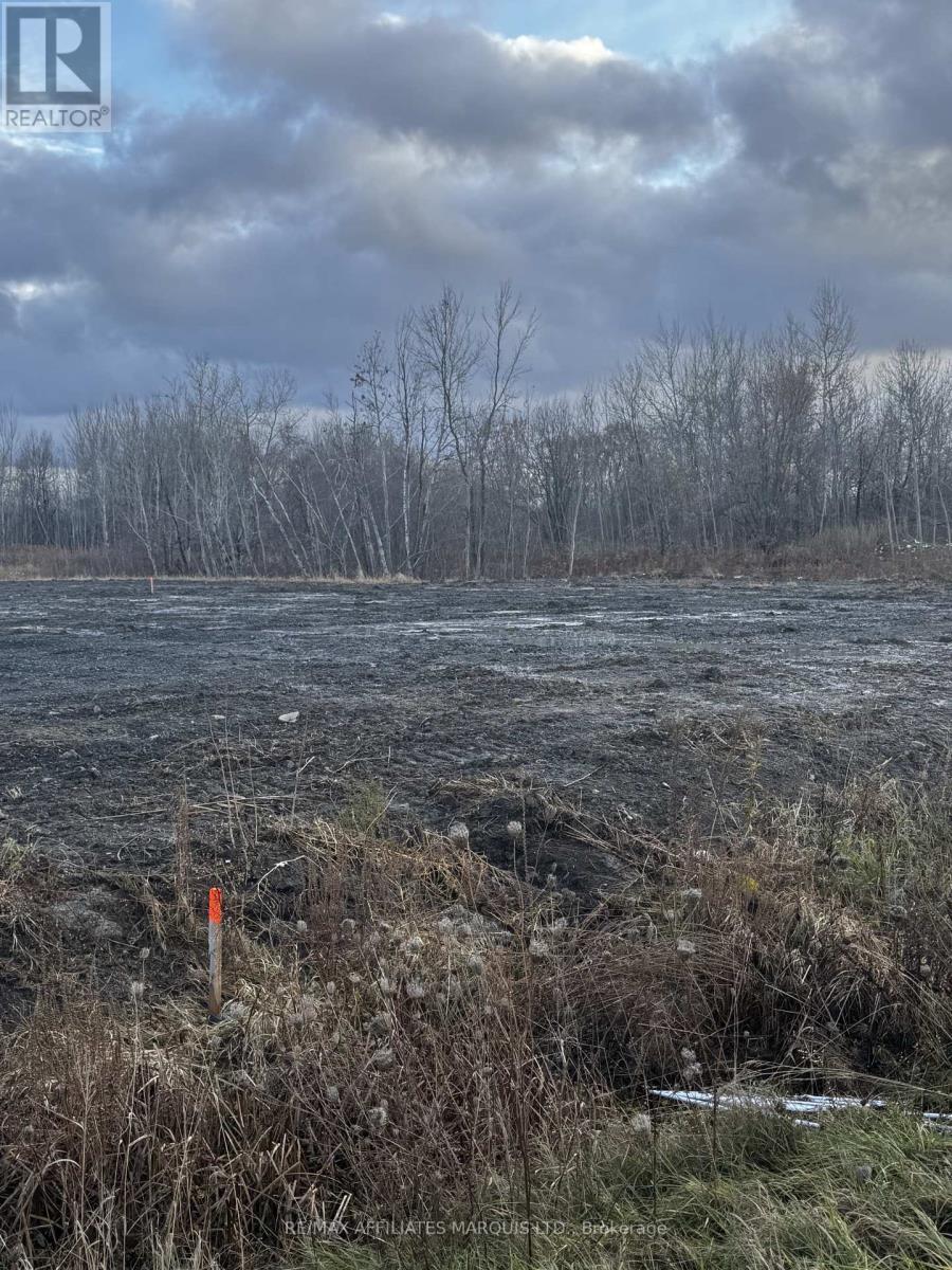 Lot 1 South Beech Street, South Glengarry, Ontario K0C 1N0 - Photo 3 - X12554370