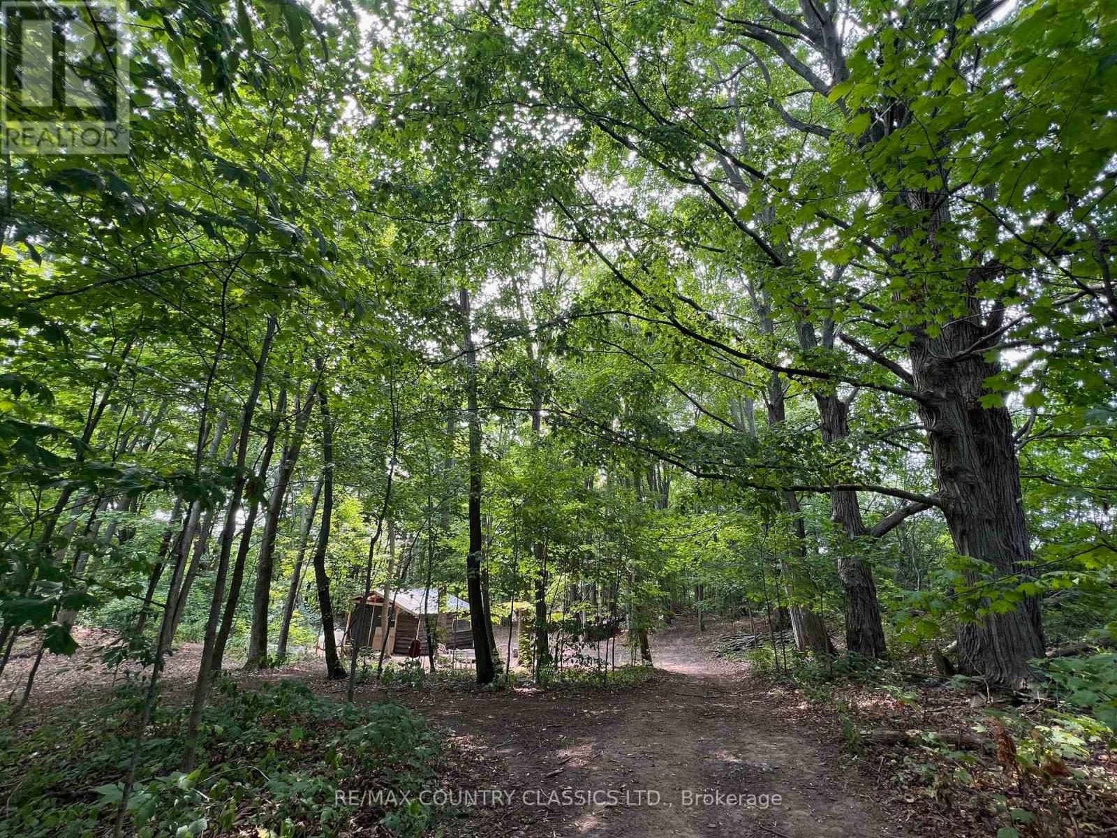 86 Scriven Road, Otonabee-South Monaghan, Ontario  K0L 1B0 - Photo 25 - X12508946