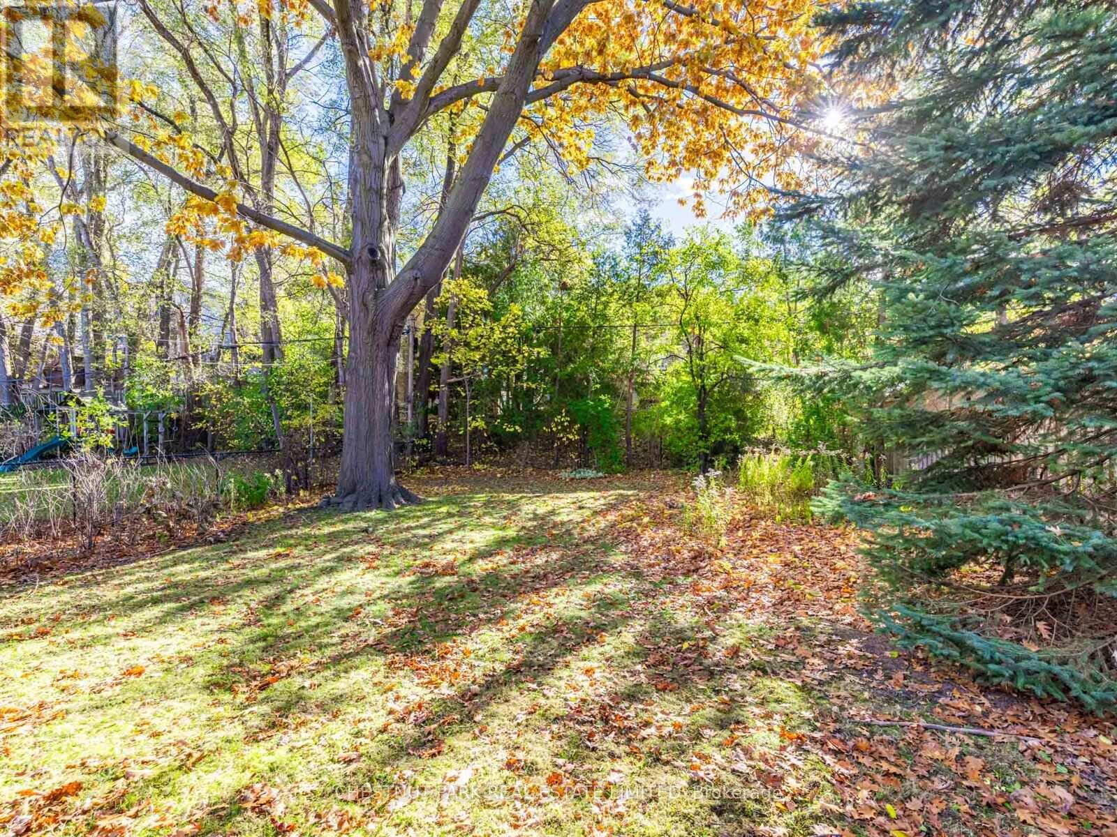 67 Viewmount Avenue, Toronto, Ontario  M6B 1T5 - Photo 28 - C12554410