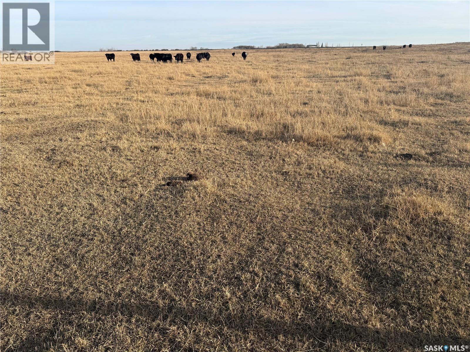 Corman Park Pasture Land, Corman Park Rm No. 344, Saskatchewan  S0K 0J0 - Photo 34 - SK024140