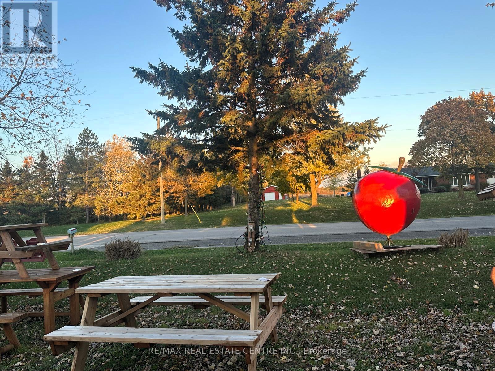 1349 Highway 56 N, Haldimand, Ontario  N3W 1T1 - Photo 41 - X12554386