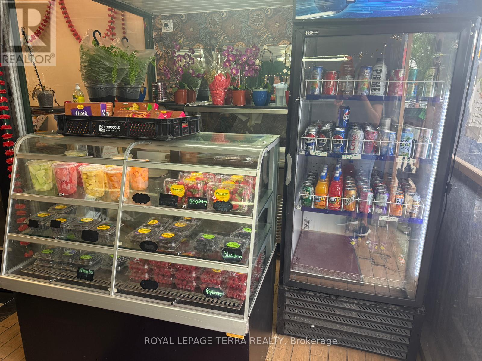 Lorem Ipsum Dolor Si, Toronto, Ontario  M4C  - Photo 6 - DEMO28853759