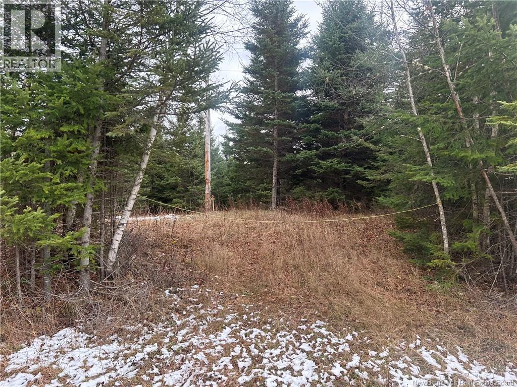 Thompson Road, Kierstead Mountain, New Brunswick  E5P 1X3 - Photo 1 - NB130279