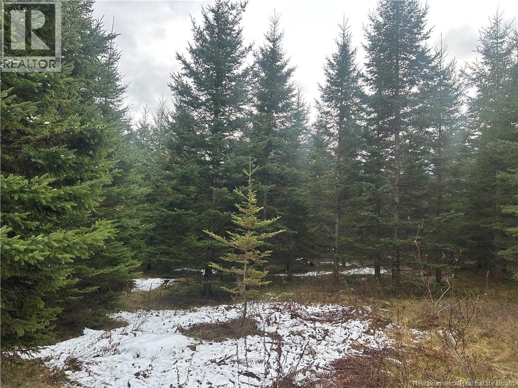 Thompson Road, Kierstead Mountain, New Brunswick  E5P 1X3 - Photo 2 - NB130279