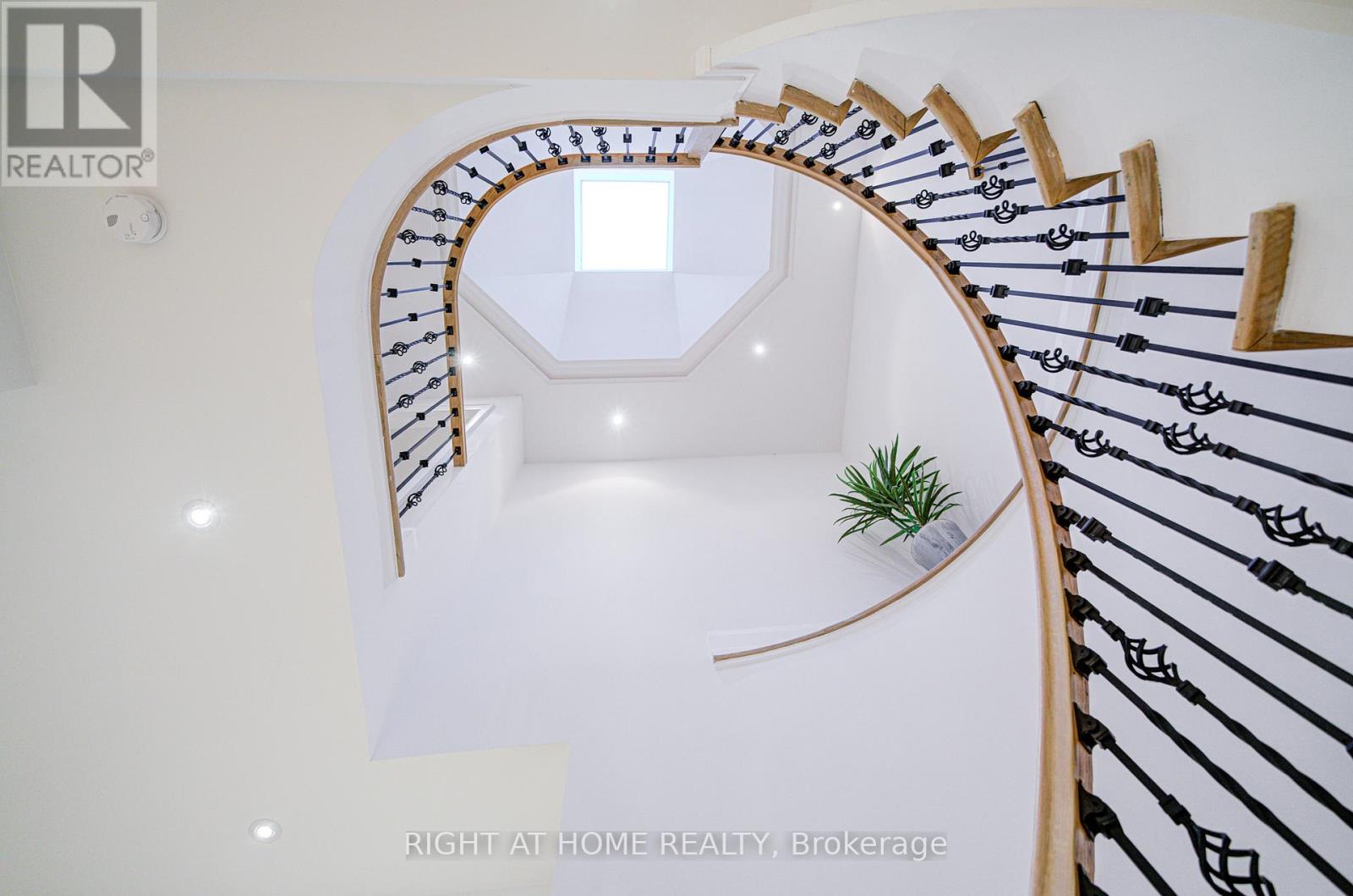 125 Kingsdale Avenue, Toronto, Ontario  M2N 3W5 - Photo 47 - C12459254