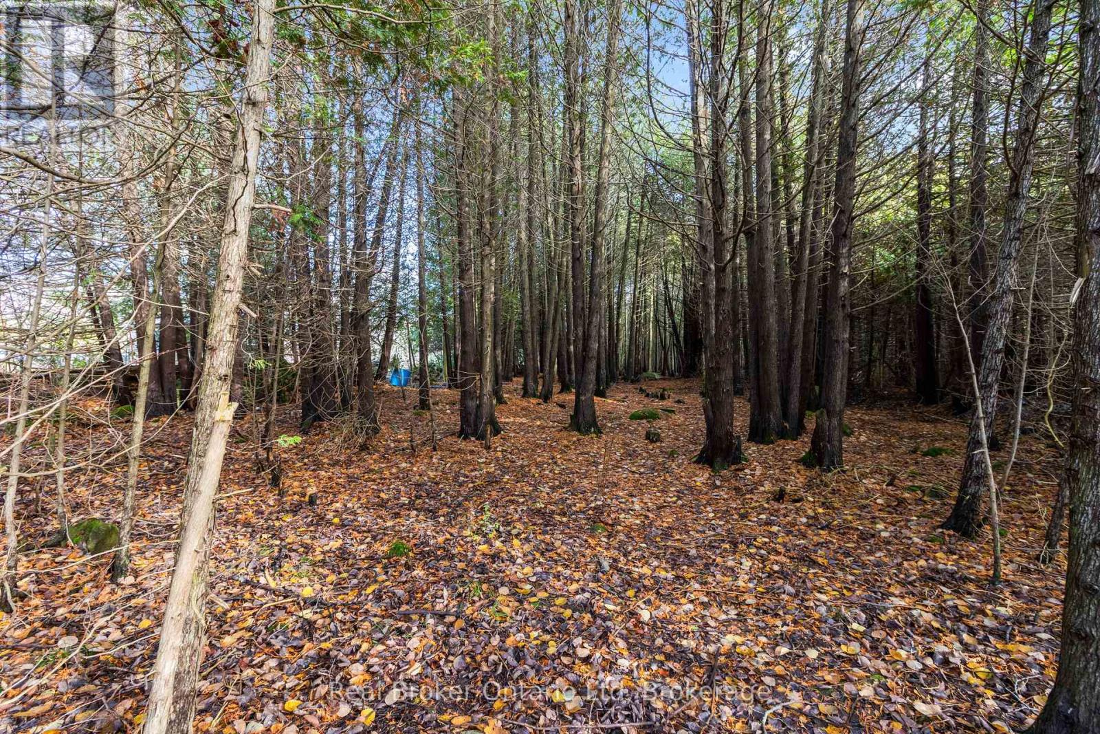 362120 Concession 16, Georgian Bluffs, Ontario  N0H 1P0 - Photo 48 - X12554738