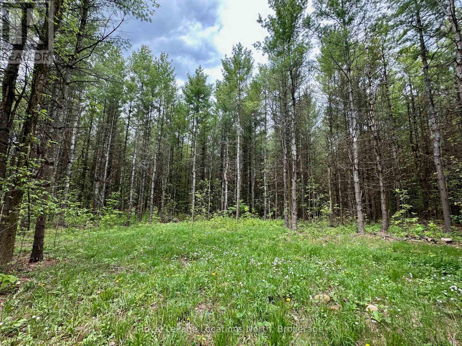 777215 Highway 10, Chatsworth, Ontario  N0H 1R0 - Photo 11 - X12554758