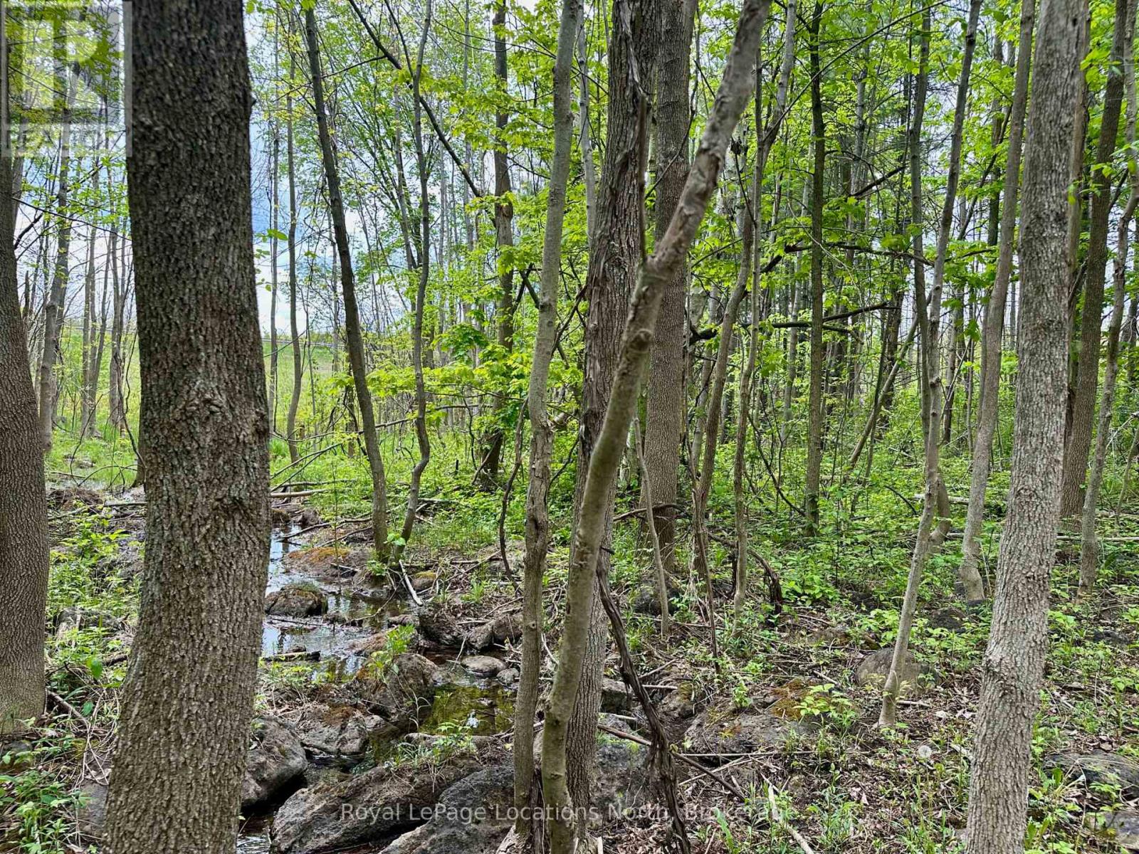 777215 Highway 10, Chatsworth, Ontario  N0H 1R0 - Photo 18 - X12554758