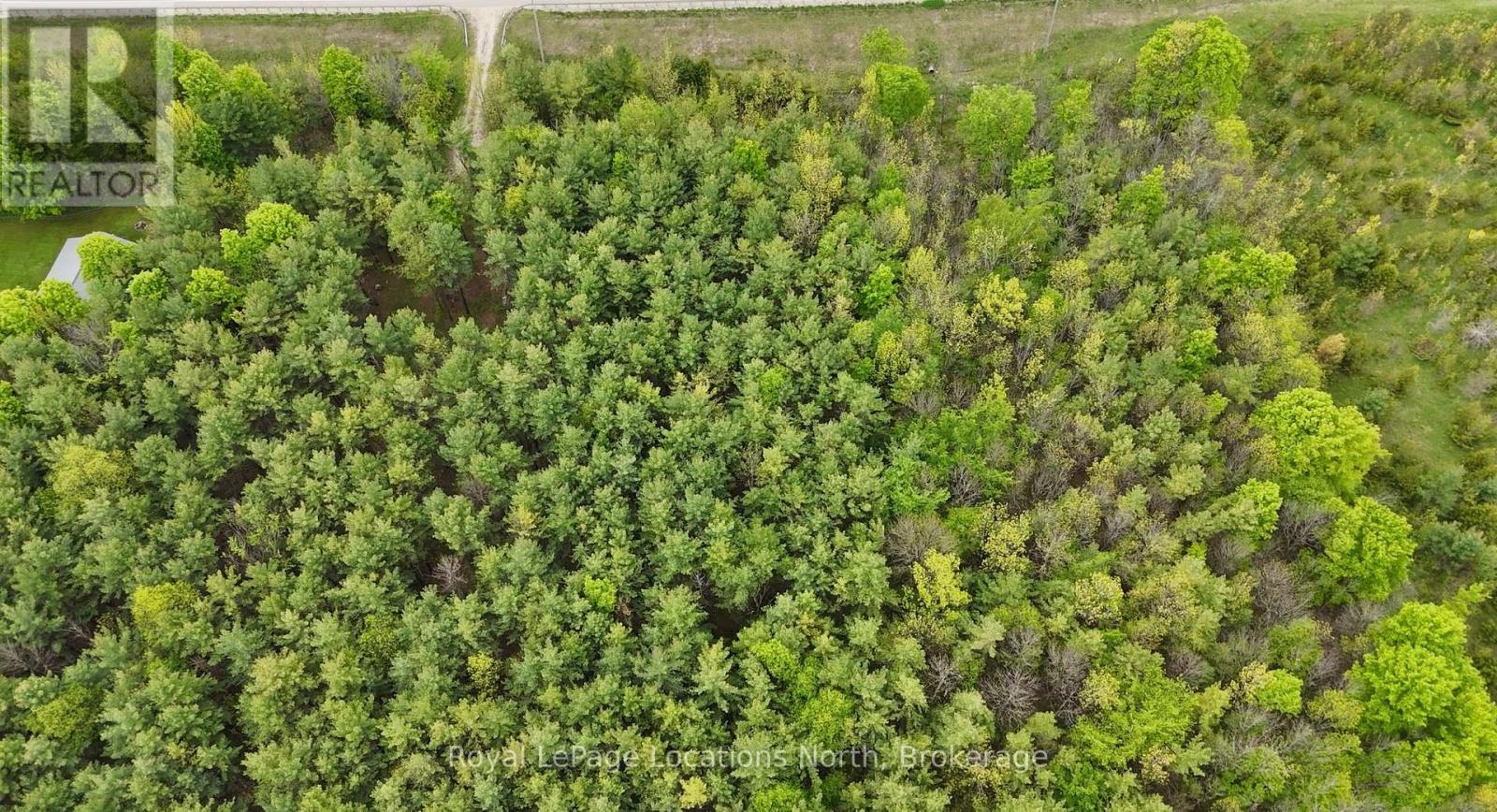 777215 Highway 10, Chatsworth, Ontario  N0H 1R0 - Photo 6 - X12554758