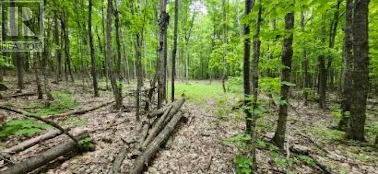 . South Of East Line Rd, Thessalon, Ontario  P0R 0A1 - Photo 2 - SM253290