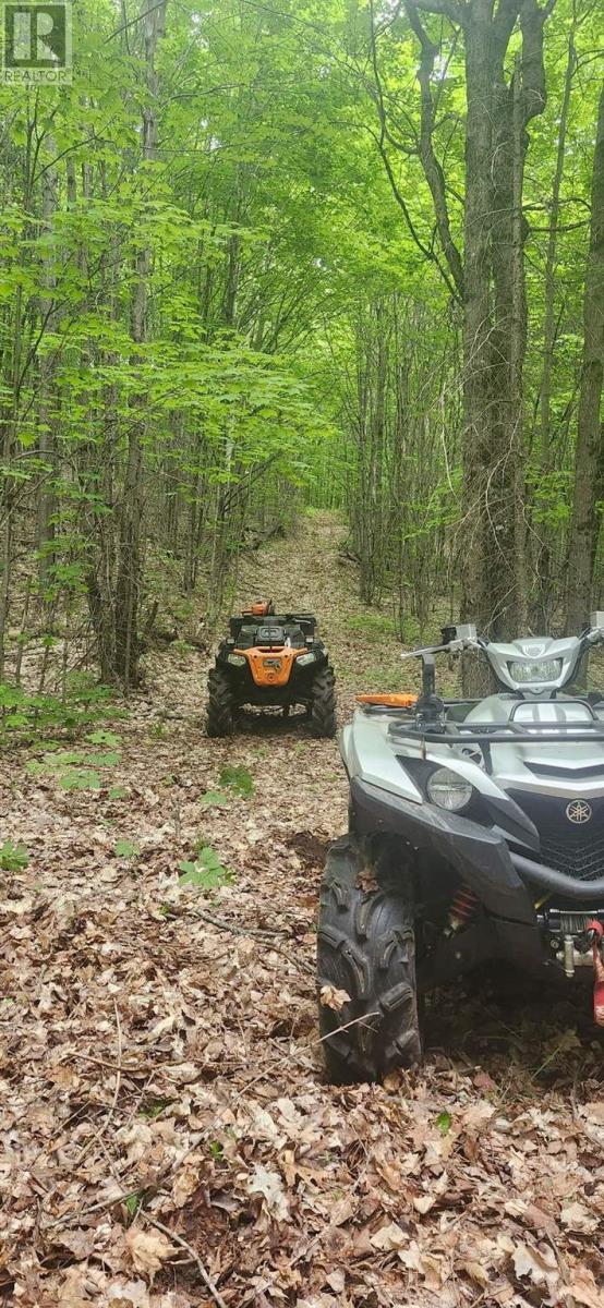 . South Of East Line Rd, Thessalon, Ontario  P0R 0A1 - Photo 4 - SM253290