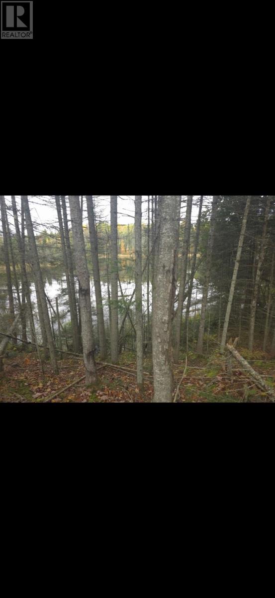 . South Of East Line Rd, Thessalon, Ontario  P0R 0A1 - Photo 5 - SM253290