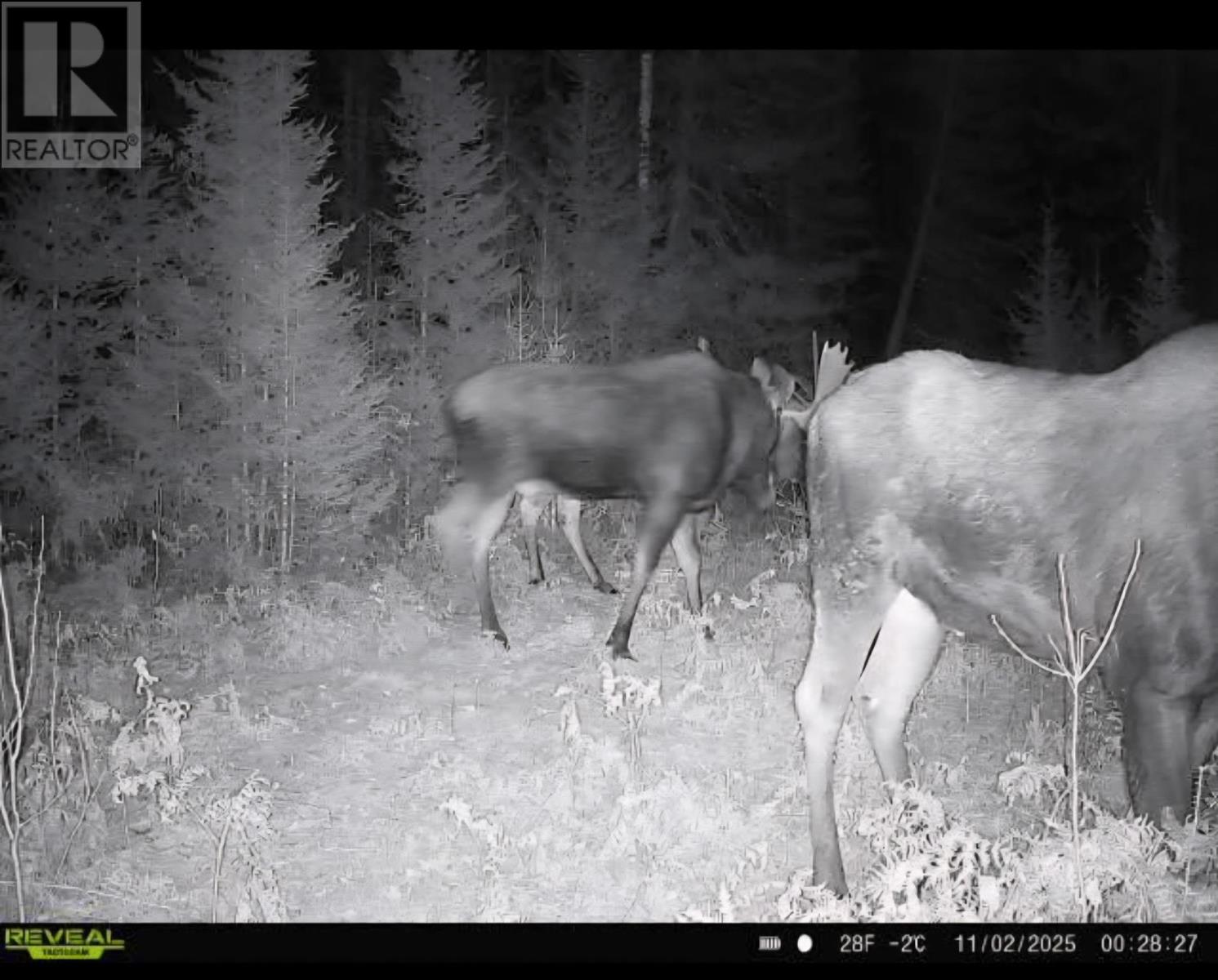 . South Of East Line Rd, Thessalon, Ontario  P0R 0A1 - Photo 6 - SM253290