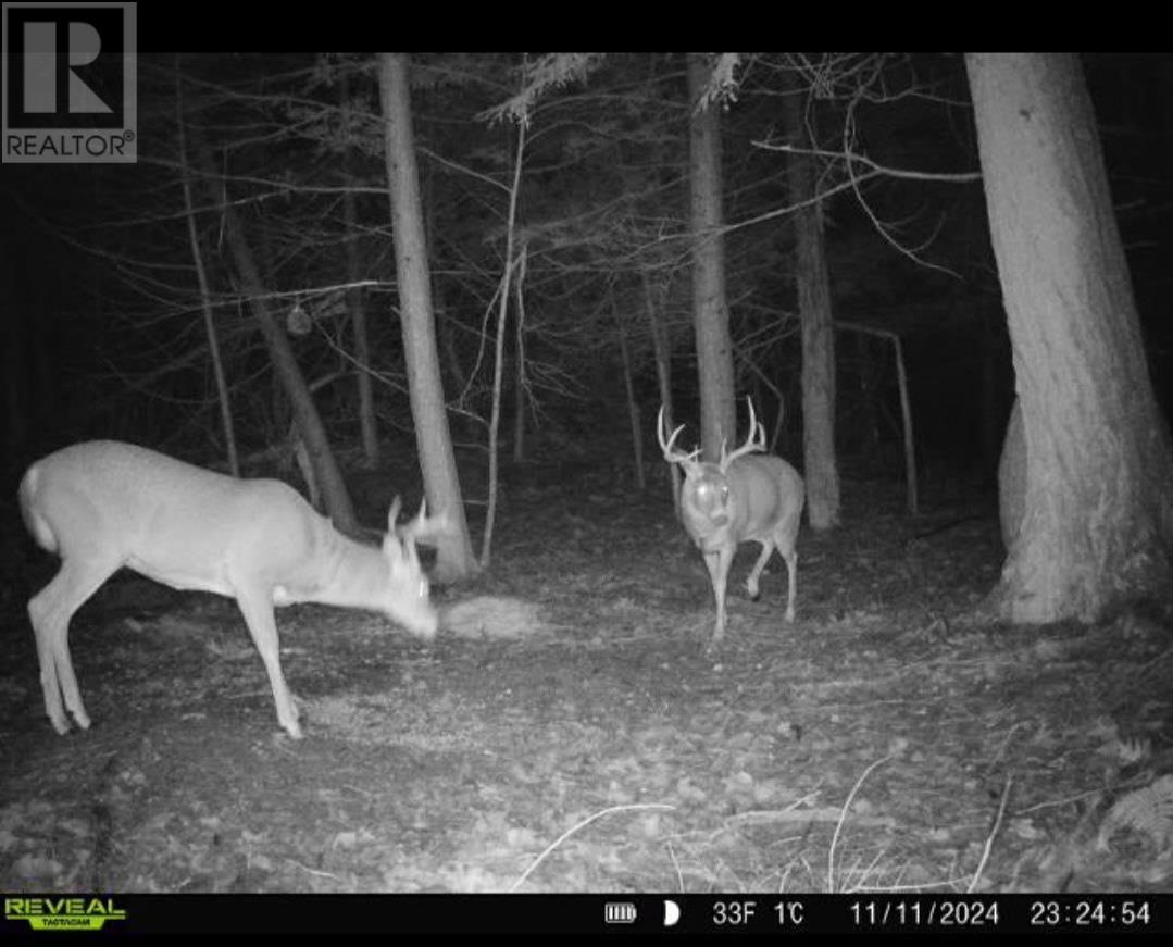 . South Of East Line Rd, Thessalon, Ontario  P0R 0A1 - Photo 7 - SM253290