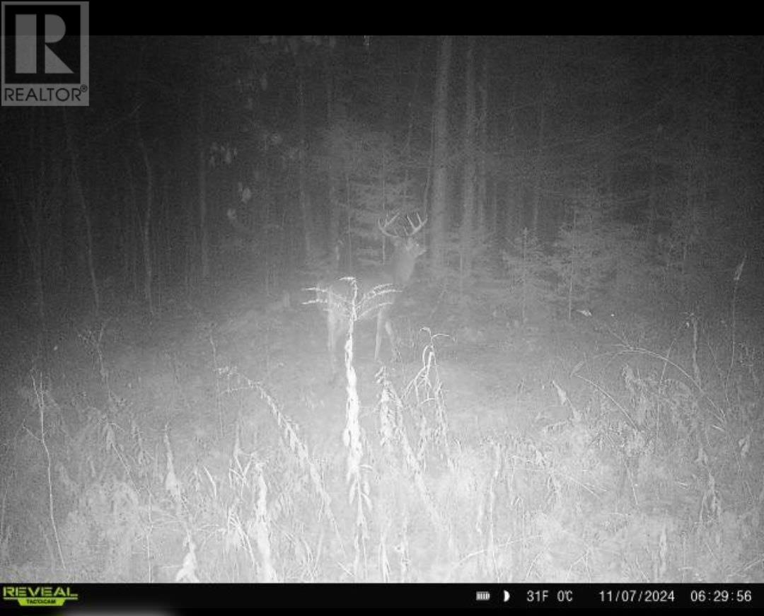 . South Of East Line Rd, Thessalon, Ontario  P0R 0A1 - Photo 8 - SM253290