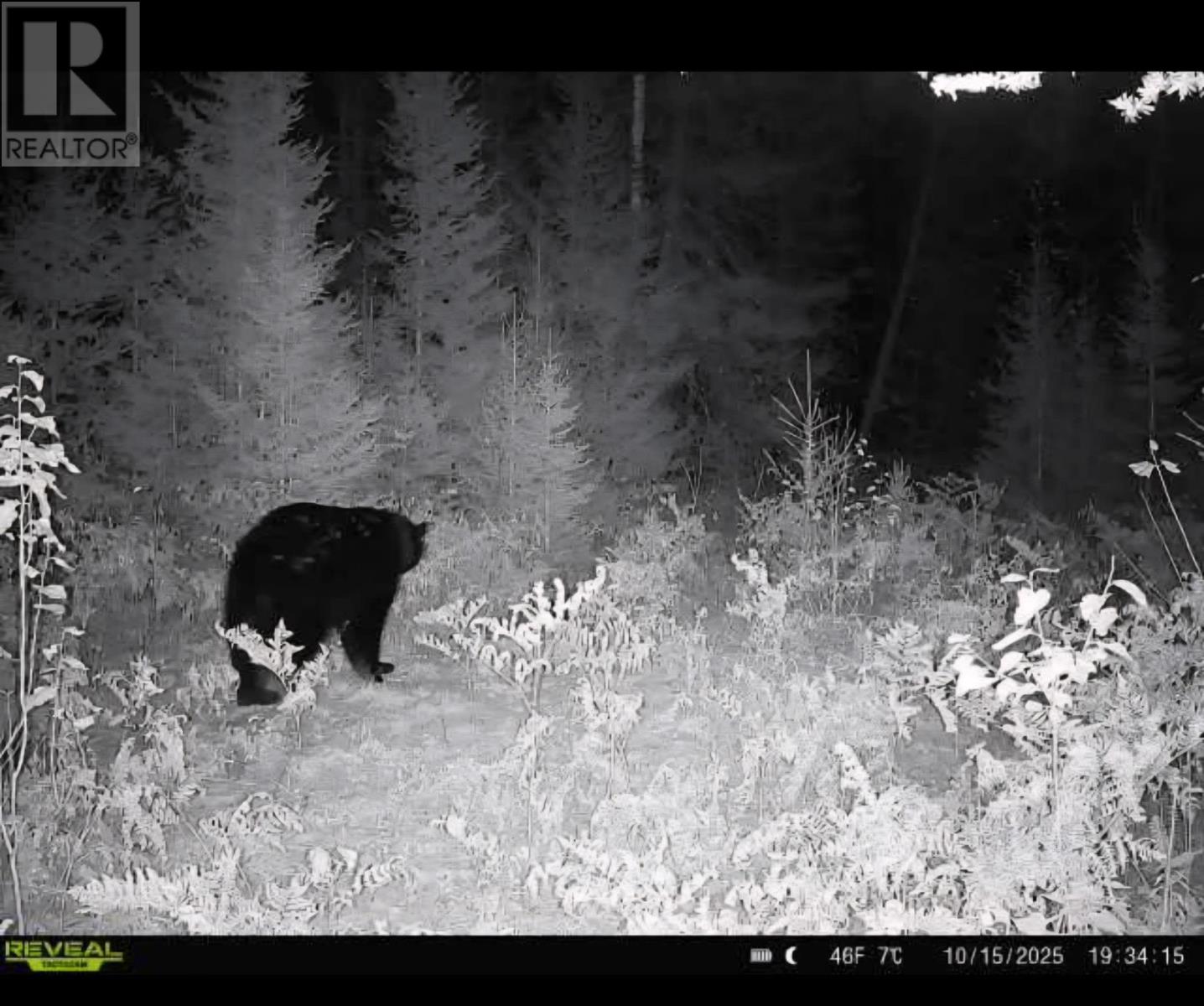 . South Of East Line Rd, Thessalon, Ontario  P0R 0A1 - Photo 9 - SM253290