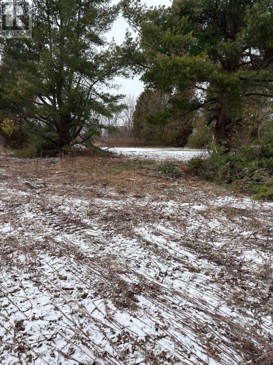 15557 Dixon Road, South Stormont, Ontario K0C 1R0 - Photo 11 - X12554682