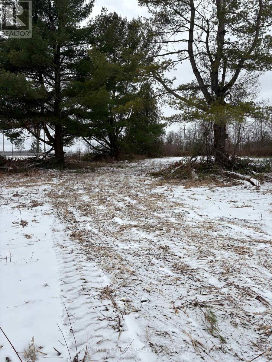 15557 Dixon Road, South Stormont, Ontario K0C 1R0 - Photo 15 - X12554682