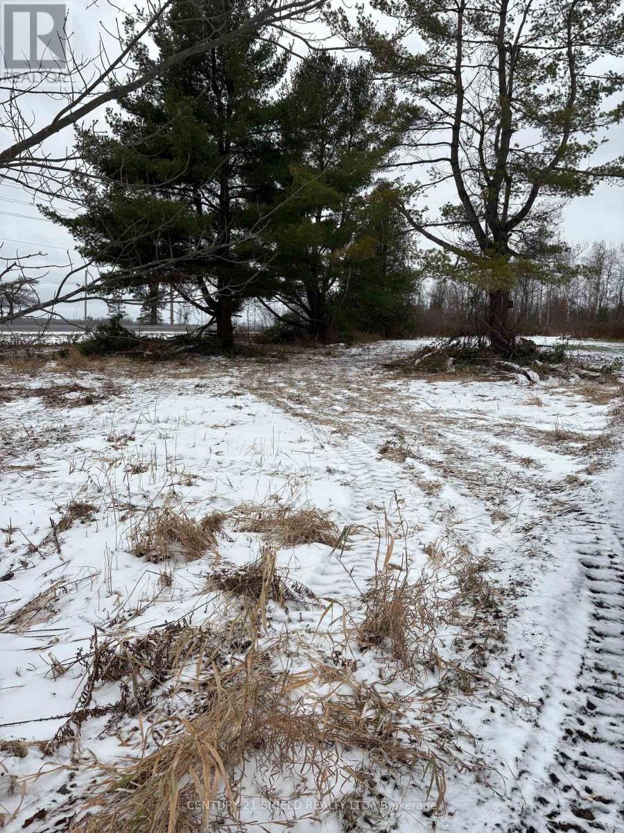 15557 Dixon Road, South Stormont, Ontario K0C 1R0 - Photo 14 - X12554682