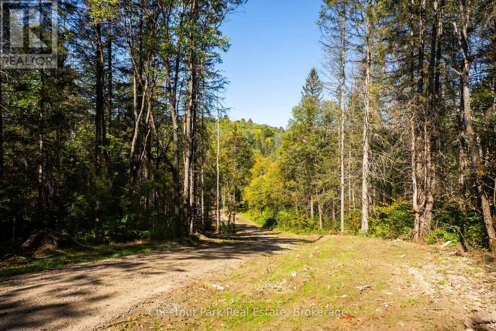 00 Deer Lake Road, Perry, Ontario  P0A 1J0 - Photo 37 - X12416296