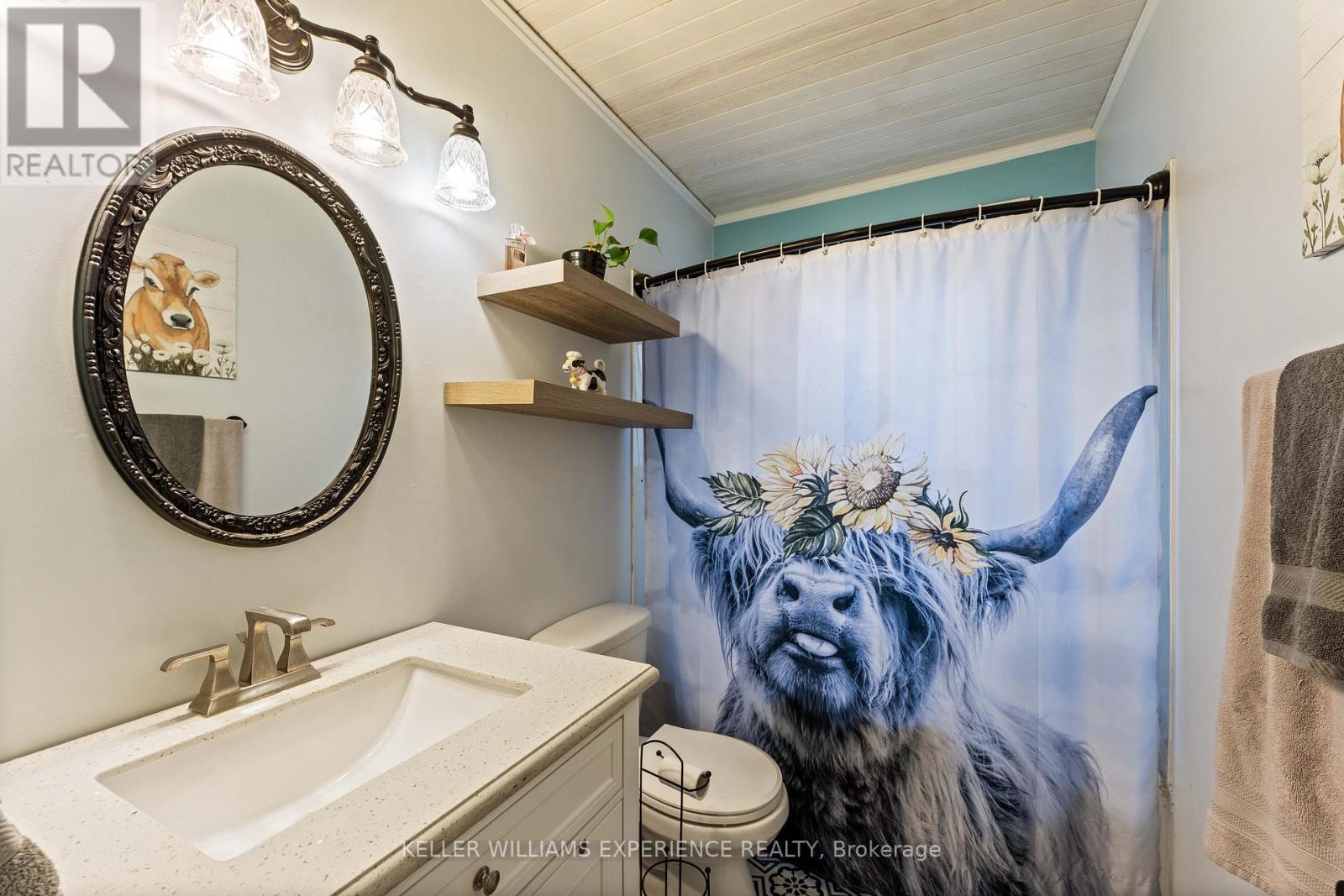 246 Calford Street, Essa, Ontario  L0M 1B0 - Photo 17 - N12554762