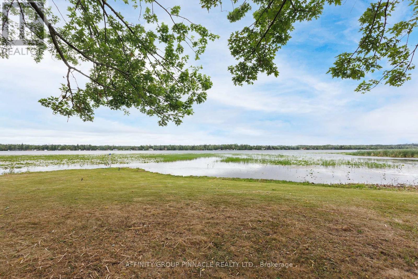 1 Beatrice Drive, Kawartha Lakes, Ontario  K0M 1N0 - Photo 9 - X12471128