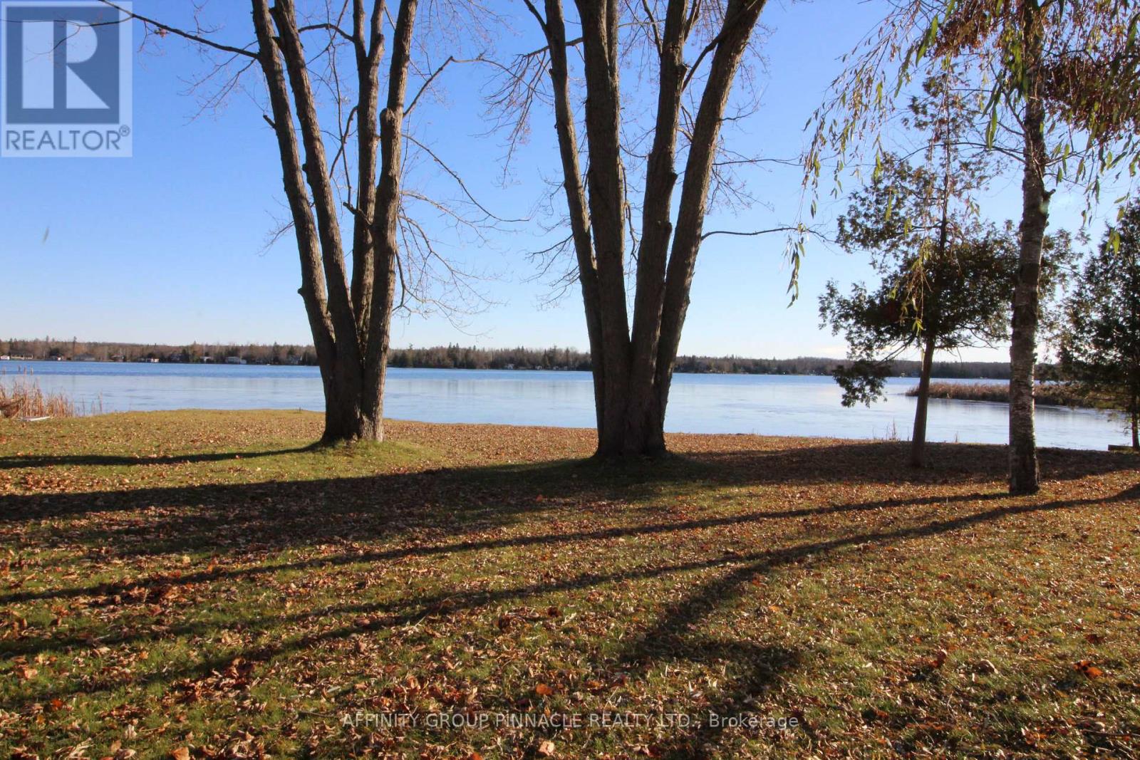 1 Beatrice Drive, Kawartha Lakes, Ontario  K0M 1N0 - Photo 7 - X12471128