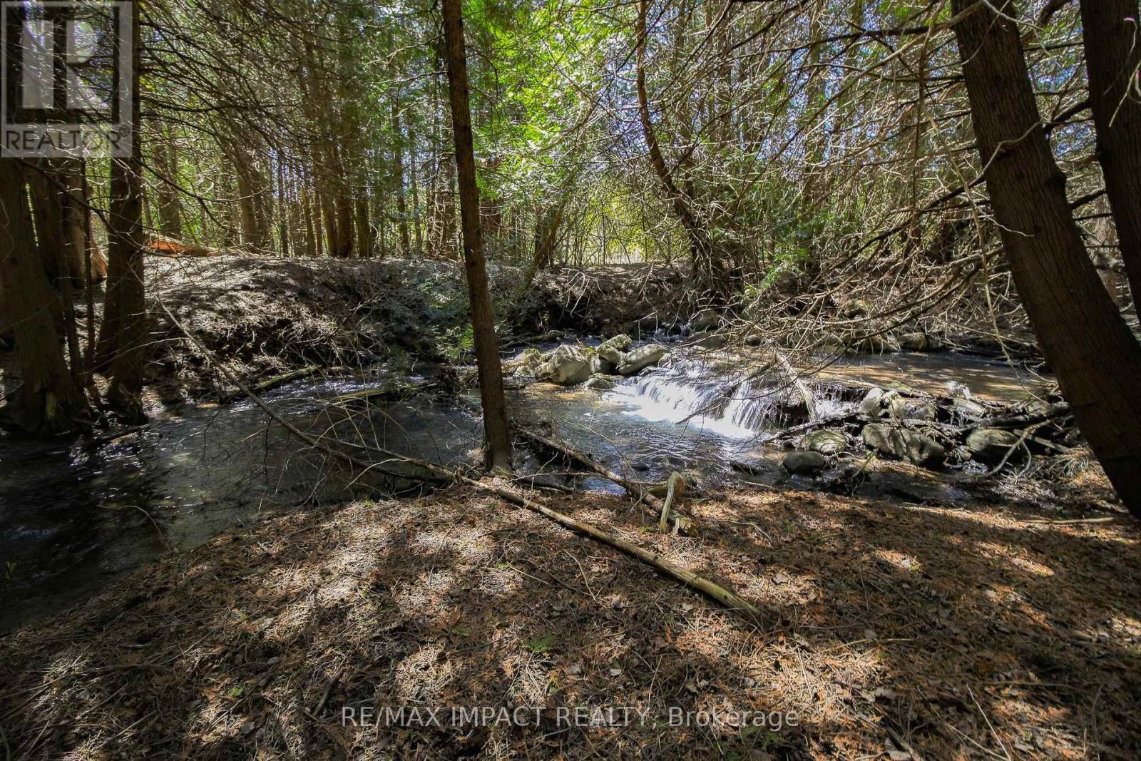 215 Raglan Road W, Oshawa, Ontario  L1H 0N5 - Photo 10 - E12555104