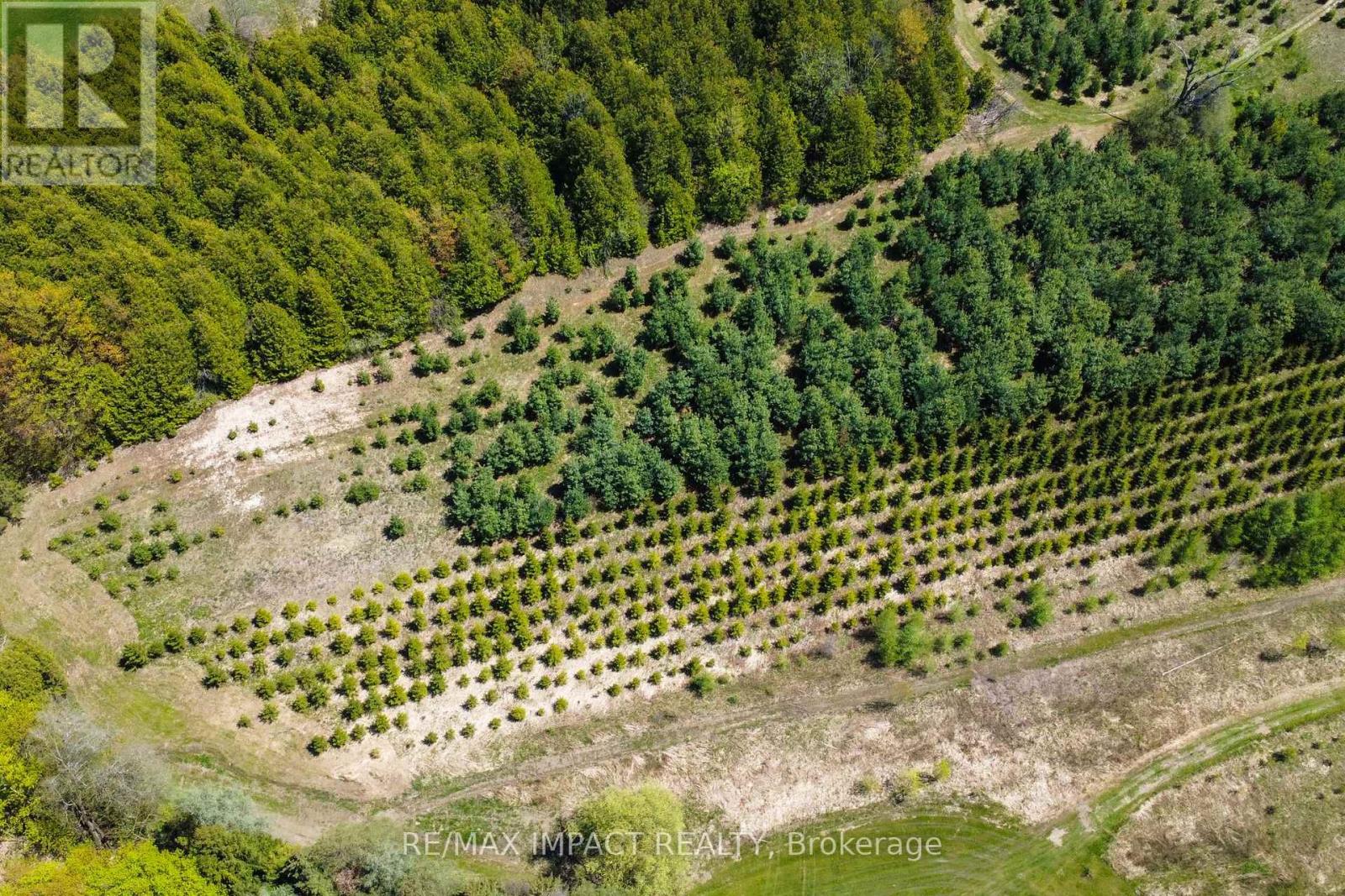 215 Raglan Road W, Oshawa, Ontario  L1H 0N5 - Photo 8 - E12555104