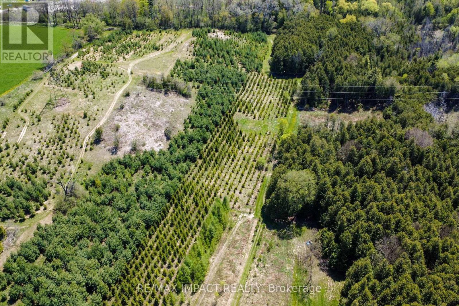 215 Raglan Road W, Oshawa, Ontario  L1H 0N5 - Photo 9 - E12555104