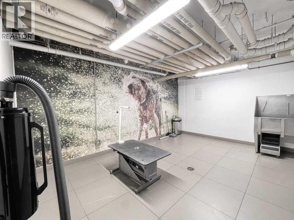 3, 88 9 Street Ne, Calgary, Alberta  T2E 4E1 - Photo 36 - A2262265